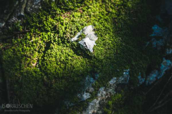 Amazing Places II Bild von Amazing Places II