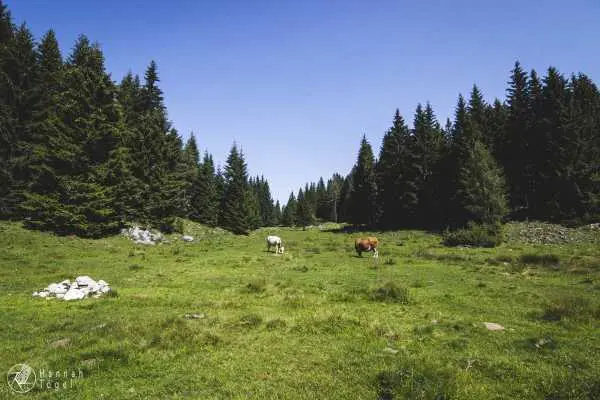 Bild von Amazing Places II