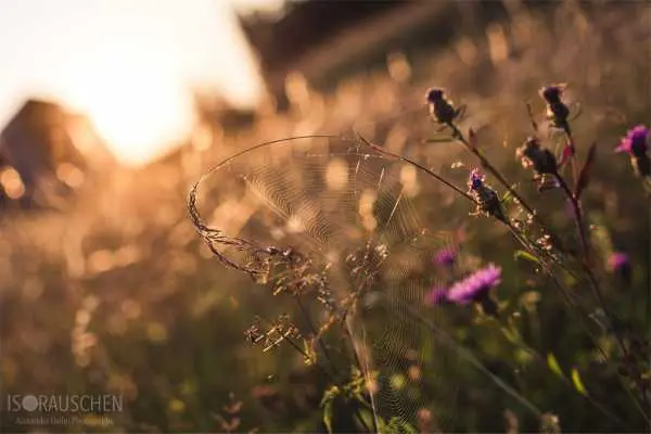 Bild von Amazing Places II