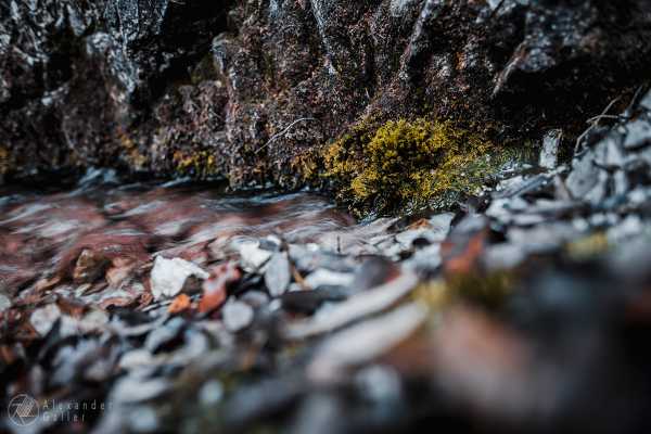 Bild von Wanderung 1