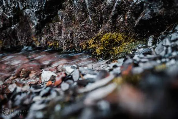 Bild von Wanderung 1