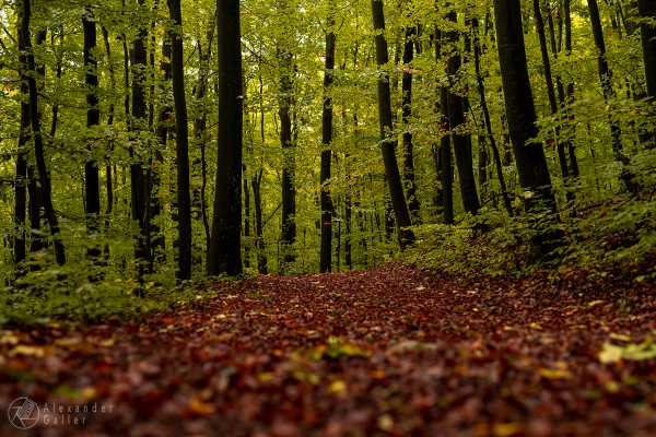 Bild von Wanderung 2