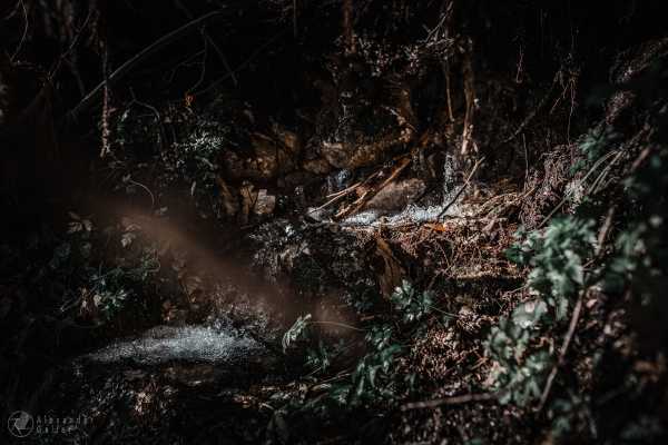 Bild von Fertig bearbeitet