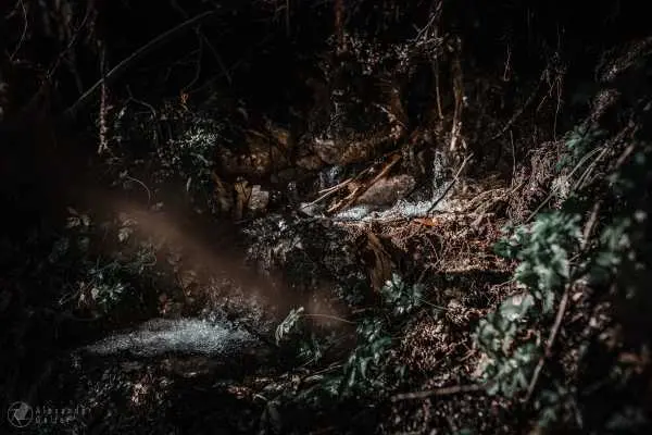 Bild von Fertig bearbeitet