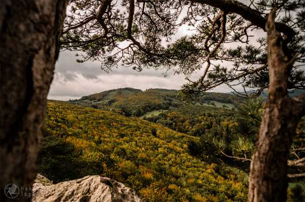 Bild von Wanderung 2