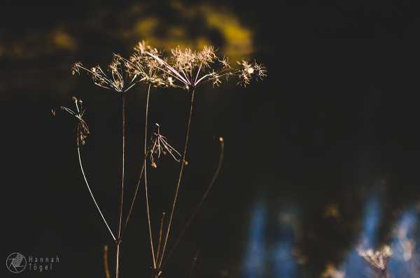 Bild von Wanderung 1