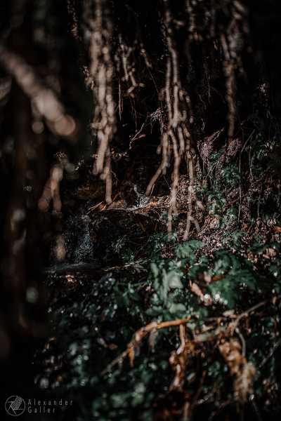 Bild von Wanderung 1