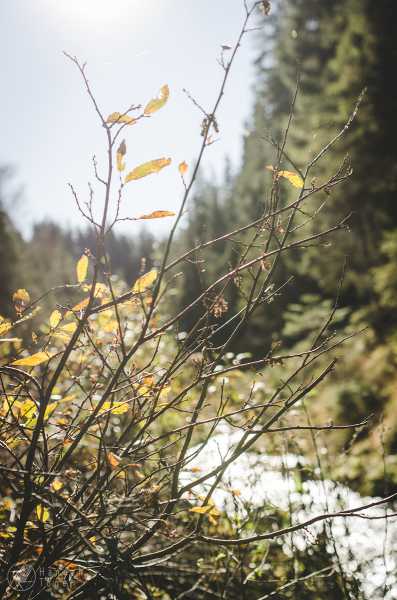 Bild von Wanderung 1