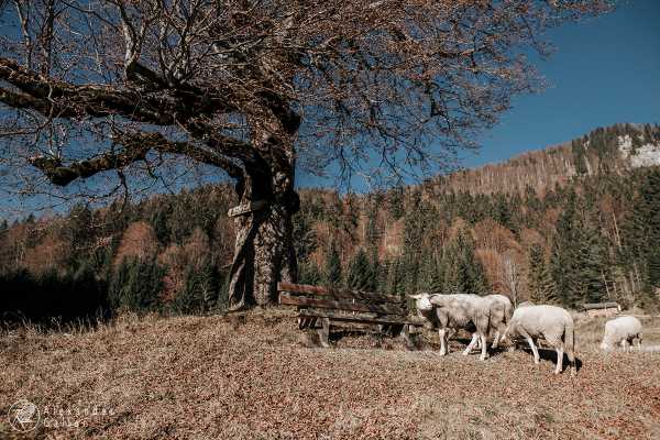 Bild von Wanderung 1