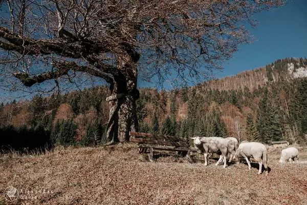 Bild von Wanderung 1