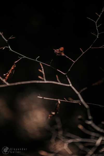 Bild von Wanderung 1