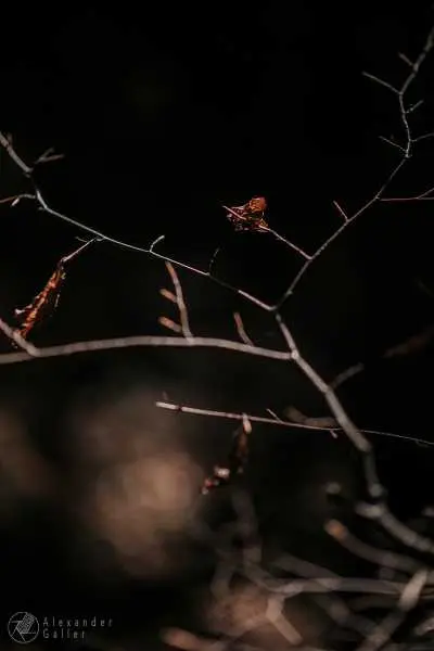 Bild von Wanderung 1