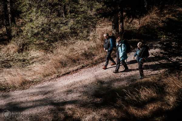 Bild von Wanderung 1