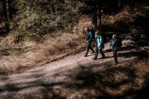 Bild von Wanderung 1