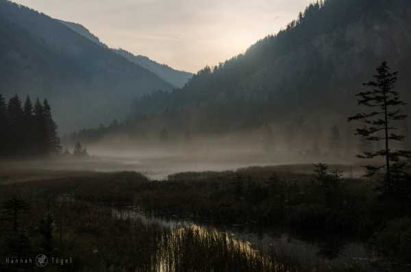 Bild von Amazing Places V