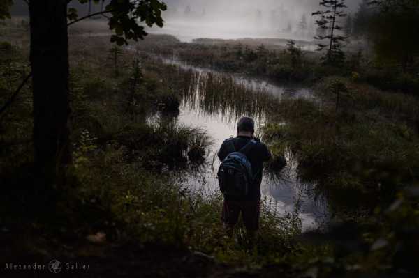 Bild von Amazing Places V