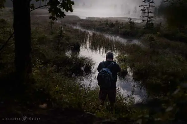 Bild von Amazing Places V