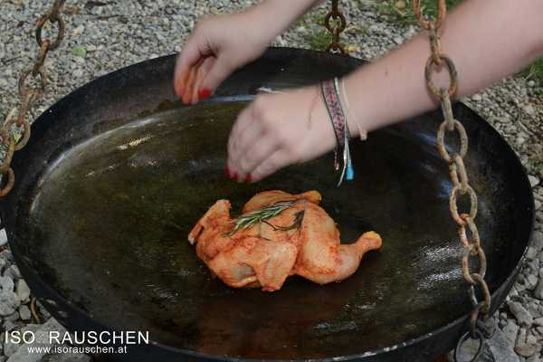 Bild von Back to the Roots