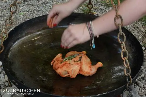 Bild von Back to the Roots