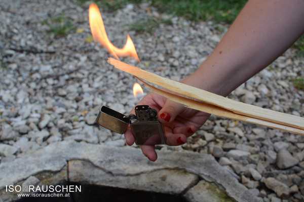 Bild von Back to the Roots