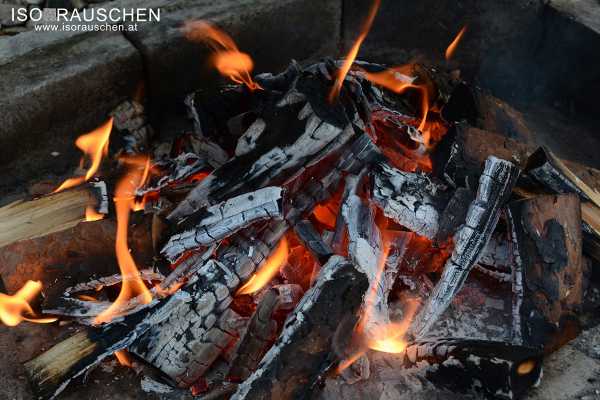 Bild von Back to the Roots