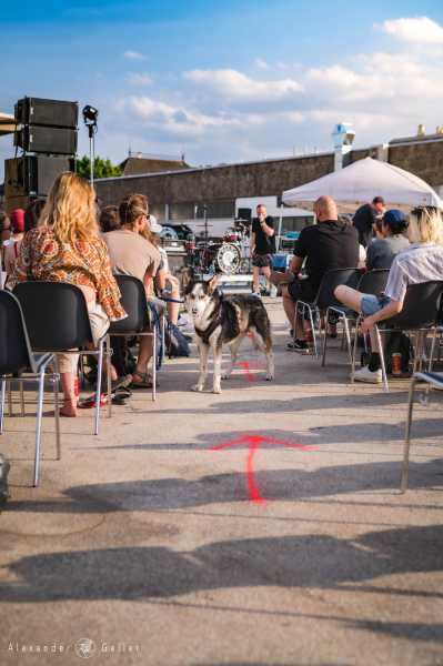 Bild von Monobrother