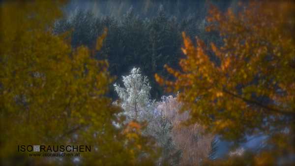 Bild von Das Mariazellerland im Herbst
