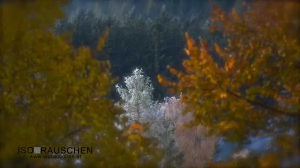 Bild von Das Mariazellerland im Herbst