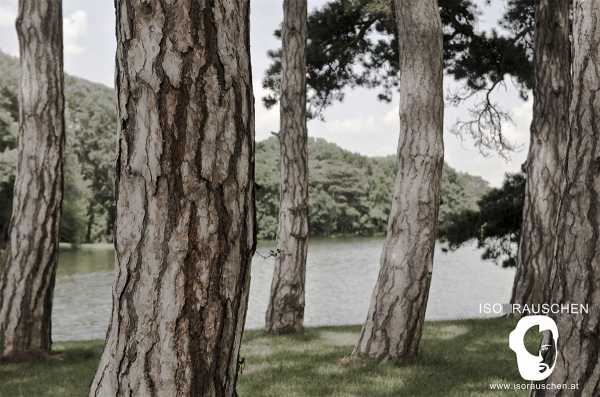 Bild von Erster Eintrag!