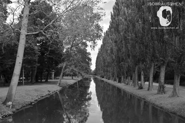 Bild von Erster Eintrag!