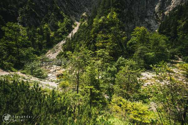 Bild von Ötschergräben