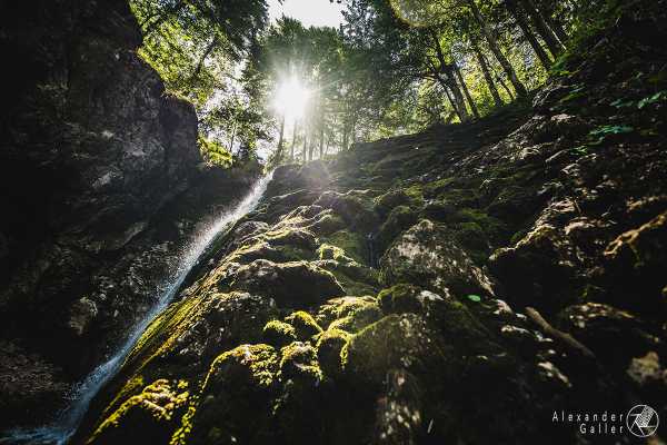 Bild von 3-Seen-Wanderung-Lunz