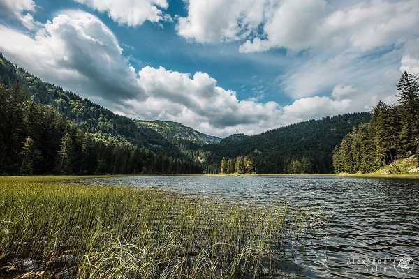 Bild von 3-Seen-Wanderung-Lunz