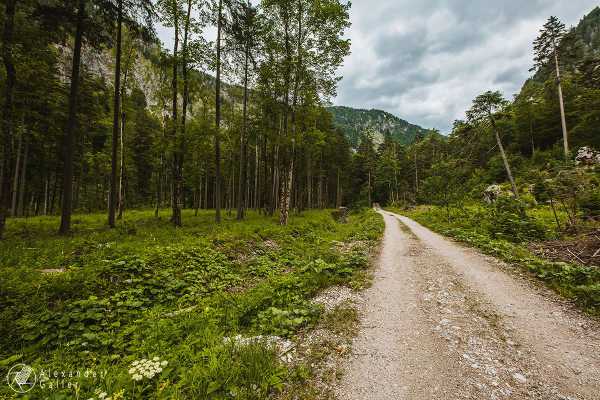 Bild von 3-Seen-Wanderung-Lunz