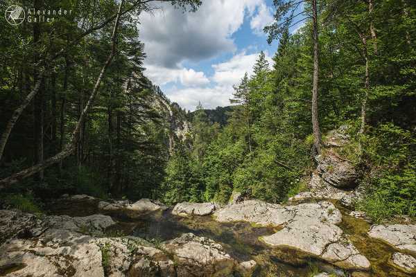 Bild von Ötschergräben