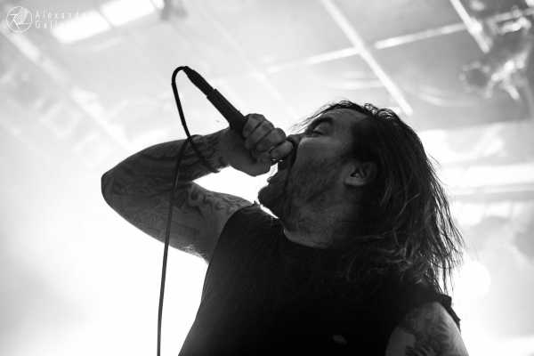 The Browning Bild von The Browning