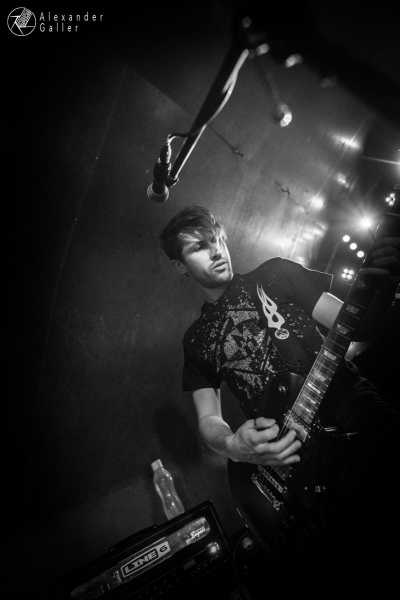 Bild von Fallen Up at Weberknecht - Interview, Reportage, Live