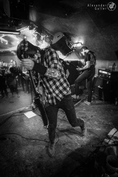 Bild von Fallen Up at Weberknecht - Interview, Reportage, Live