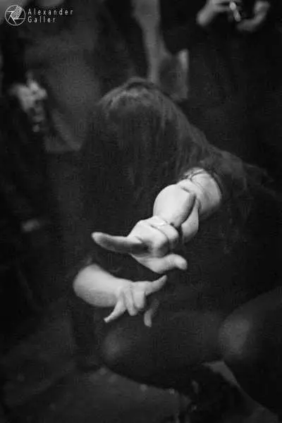 Bild von Fallen Up at Weberknecht - Interview, Reportage, Live