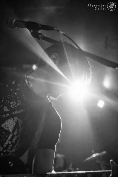 Bild von Fallen Up at Weberknecht - Interview, Reportage, Live