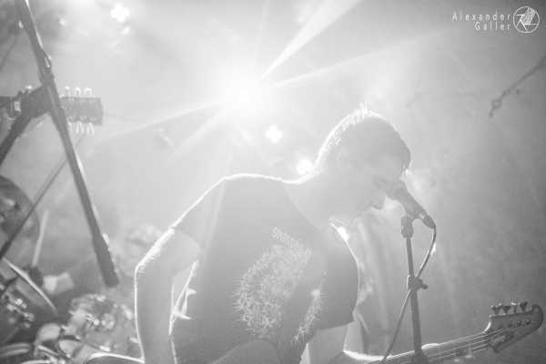 Bild von Fallen Up at Weberknecht - Interview, Reportage, Live