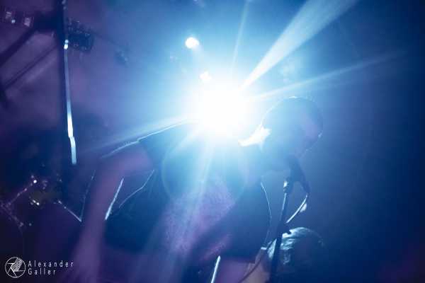 Bild von Fallen Up at Weberknecht - Interview, Reportage, Live