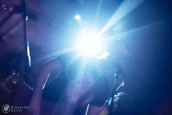 Bild von Fallen Up at Weberknecht - Interview, Reportage, Live