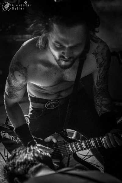 Bild von Fallen Up at Weberknecht - Interview, Reportage, Live