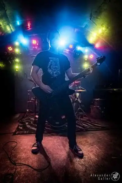 Bild von Fallen Up at Weberknecht - Interview, Reportage, Live