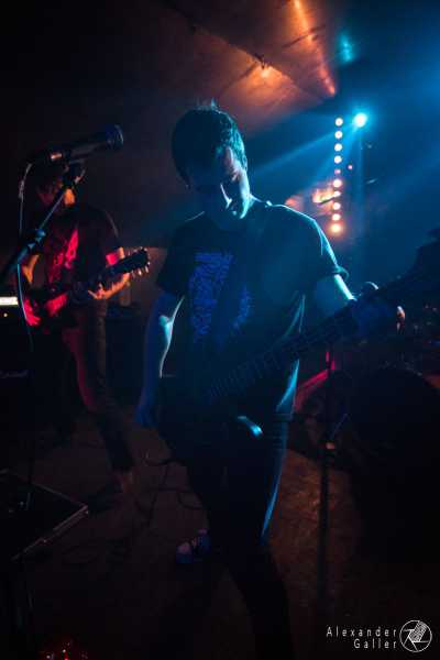 Bild von Fallen Up at Weberknecht - Interview, Reportage, Live