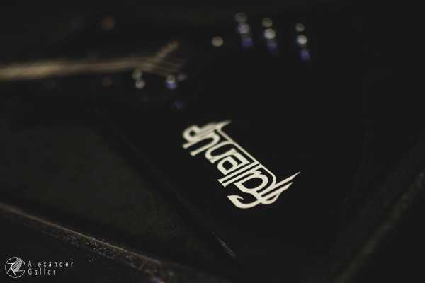 Bild von Fallen Up at Weberknecht - Interview, Reportage, Live