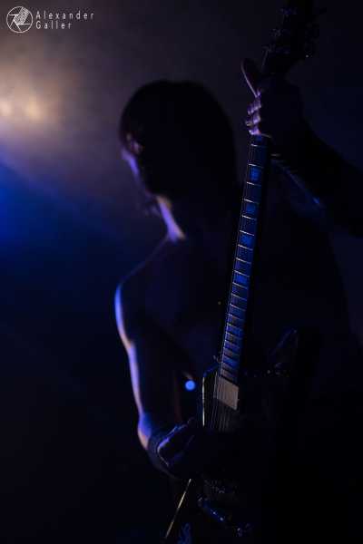 Bild von Fallen Up at Weberknecht - Interview, Reportage, Live