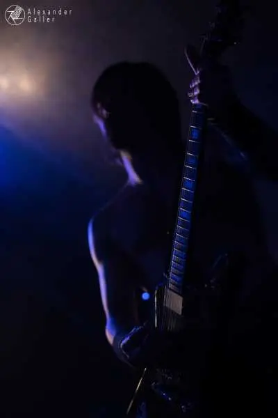 Bild von Fallen Up at Weberknecht - Interview, Reportage, Live