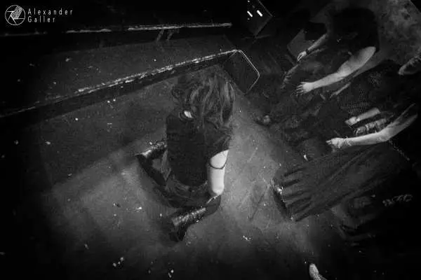 Bild von Fallen Up at Weberknecht - Interview, Reportage, Live